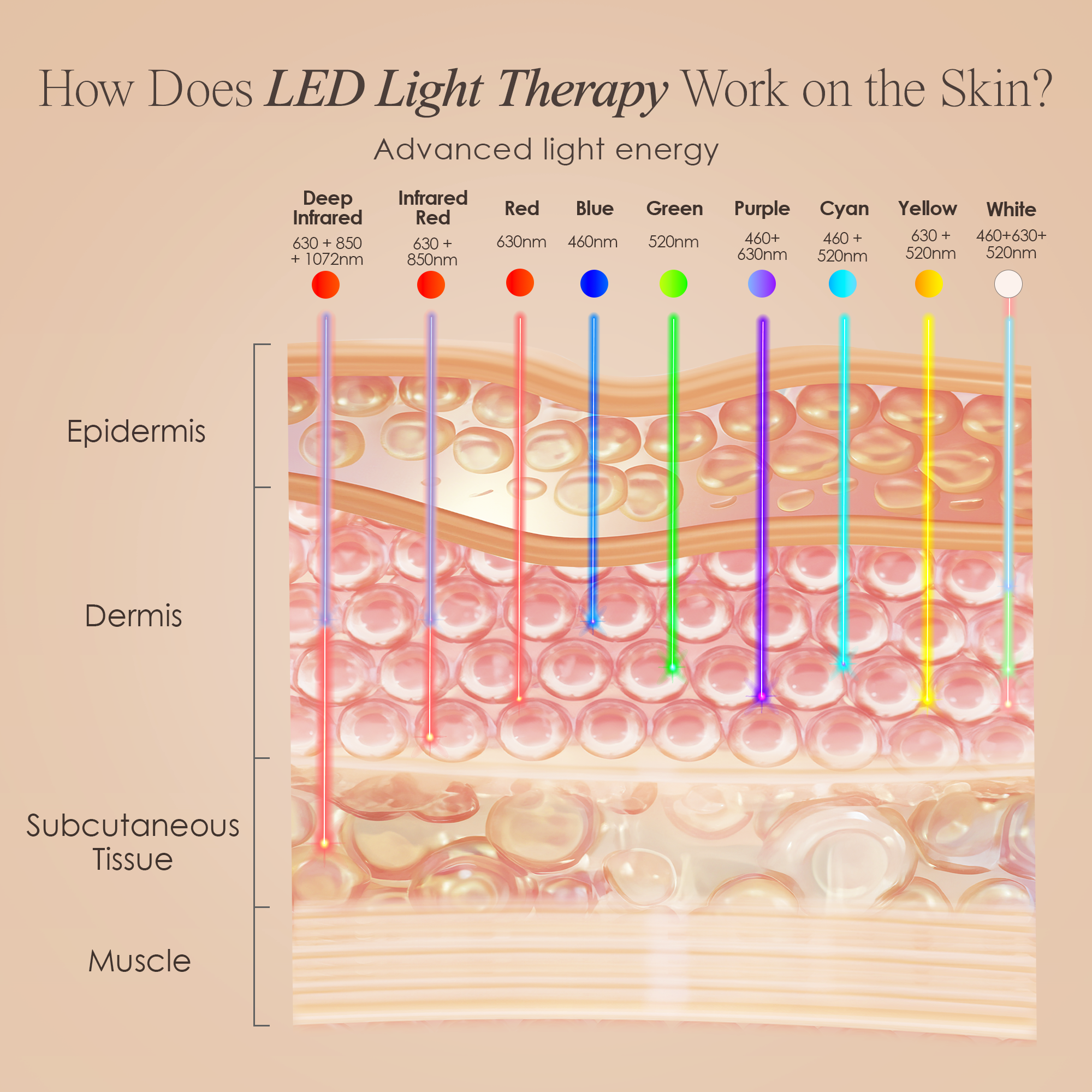 Diagram illustrating how red, blue, and infrared LED light therapy wavelengths penetrate skin layers